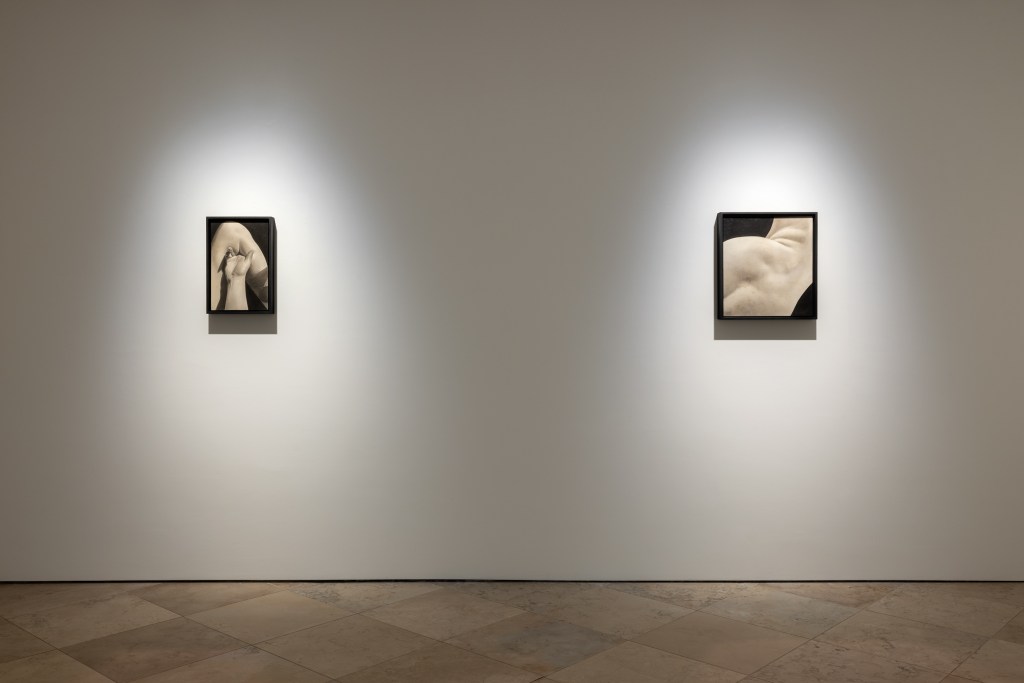 Exhibition view of Skin on Skin by Saskia Colwell at Victoria Miro, Venice 2025. Photo © Saskia Colwell. Courtesy of the artist and Victoria Miro