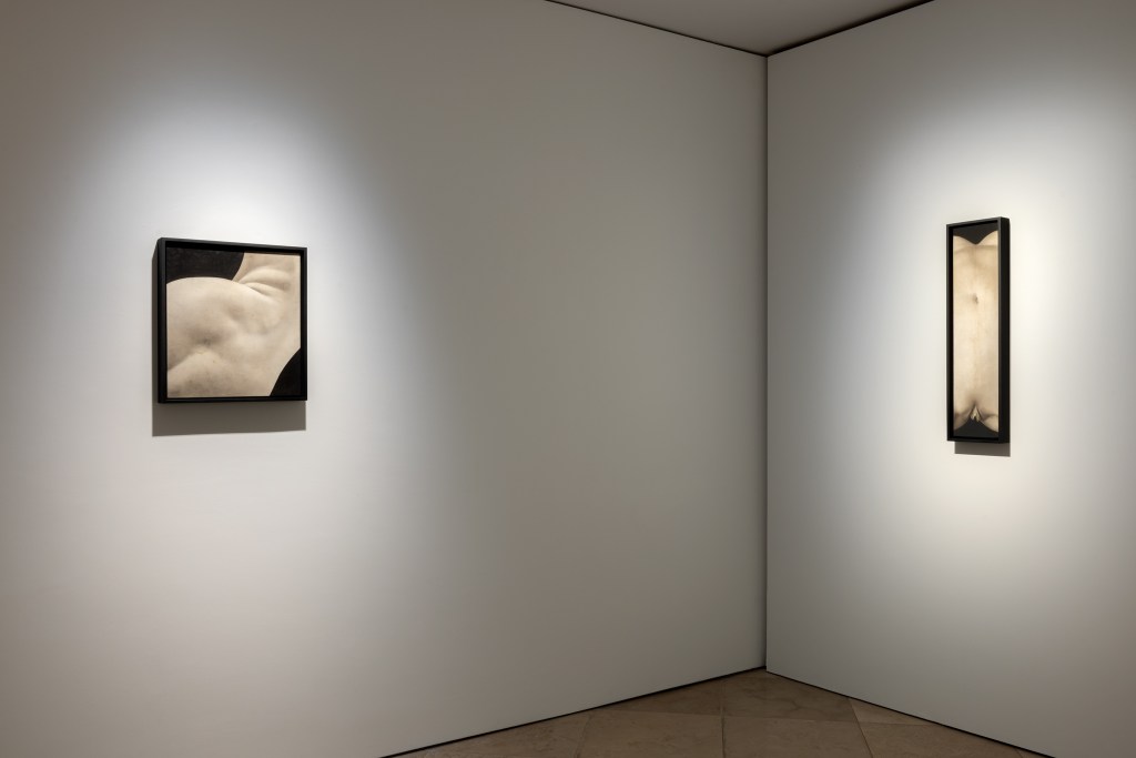 Veduta della mostra Skin on Skin di Saskia Colwell presso la galleria Victoria Miro, Venezia, 2025. Installazione espositiva delle opere dell’artista in un contesto contemporaneo. © Saskia Colwell. Courtesy dell’artista e di Victoria Miro