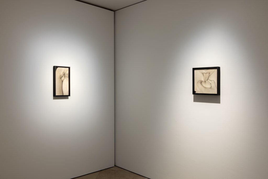 Exhibition view of Skin on Skin by Saskia Colwell at Victoria Miro, Venice 2025. Photo © Saskia Colwell. Courtesy of the artist and Victoria Miro