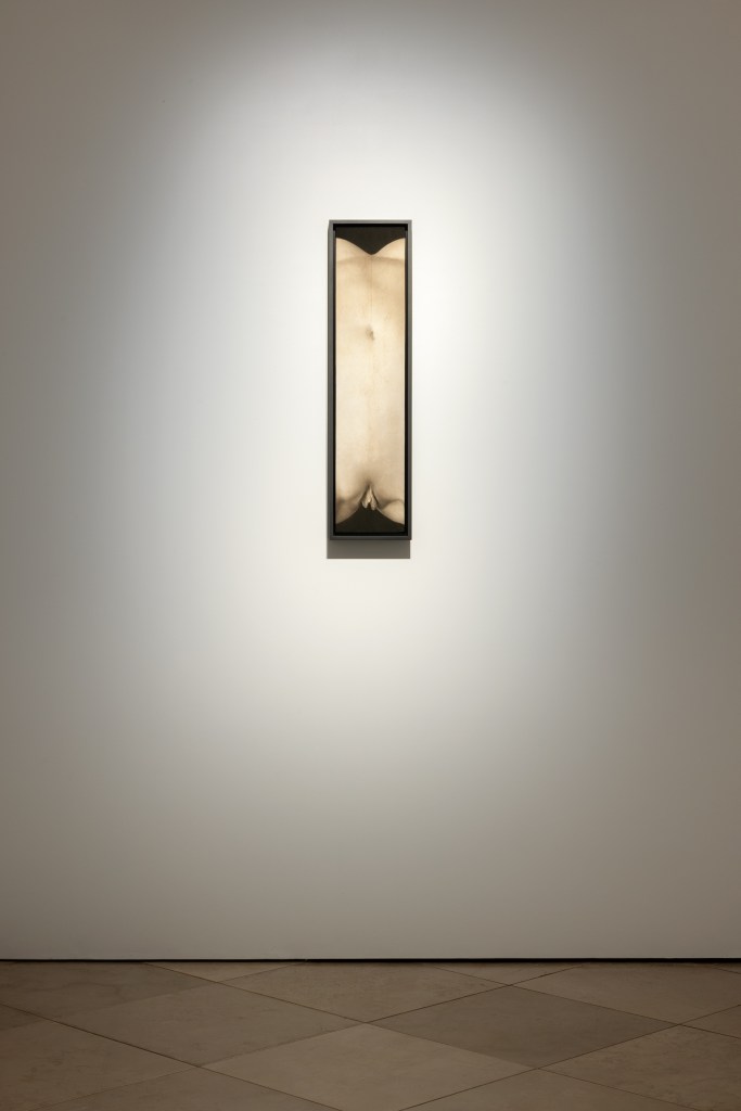 Veduta della mostra Skin on Skin di Saskia Colwell presso la galleria Victoria Miro, Venezia, 2025. Installazione espositiva delle opere dell’artista in un contesto contemporaneo. © Saskia Colwell. Courtesy dell’artista e di Victoria Miro