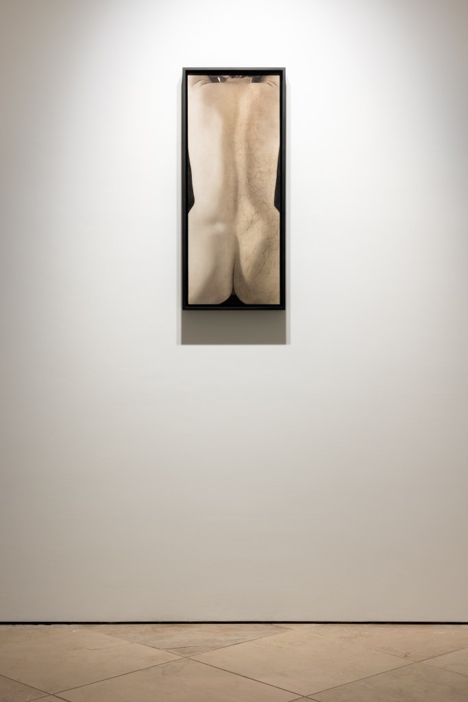 Veduta della mostra Skin on Skin di Saskia Colwell presso la galleria Victoria Miro, Venezia, 2025. Installazione espositiva delle opere dell’artista in un contesto contemporaneo. © Saskia Colwell. Courtesy dell’artista e di Victoria Miro