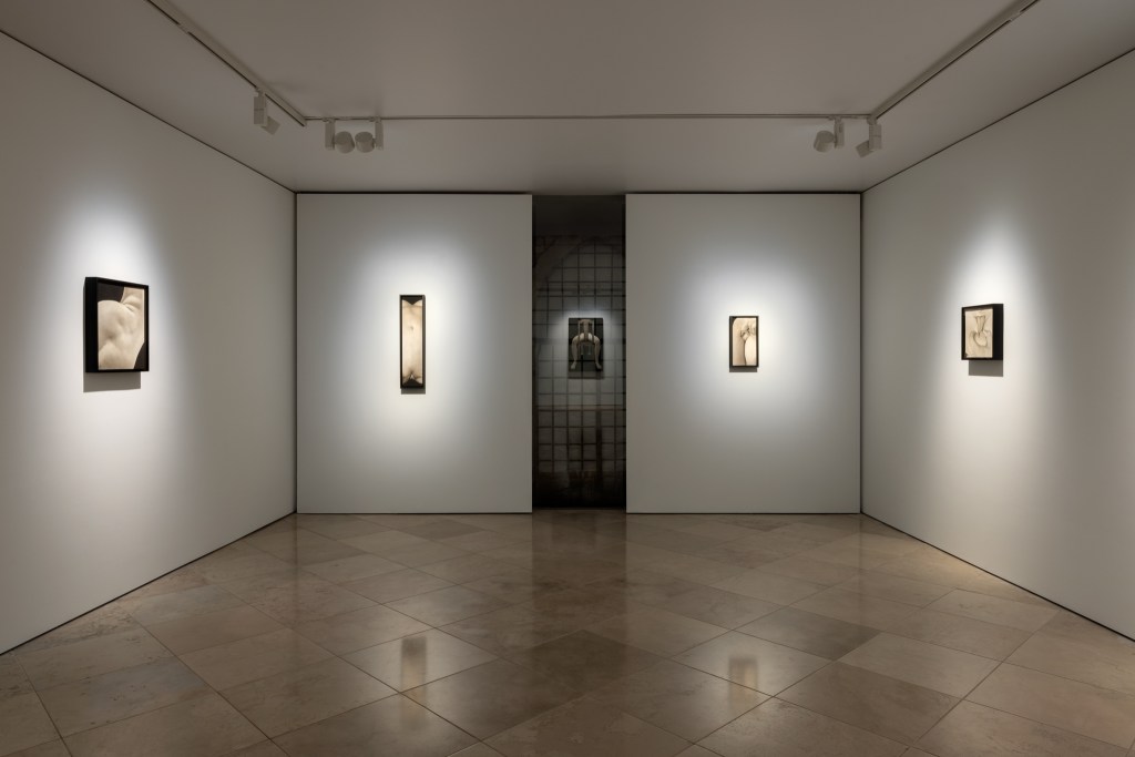 Exhibition view of Skin on Skin by Saskia Colwell at Victoria Miro, Venice 2025. Photo © Saskia Colwell. Courtesy of the artist and Victoria Miro