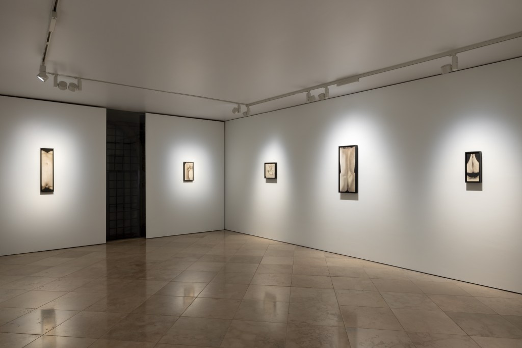 Exhibition view of Skin on Skin by Saskia Colwell at Victoria Miro, Venice 2025. Photo © Saskia Colwell. Courtesy of the artist and Victoria Miro