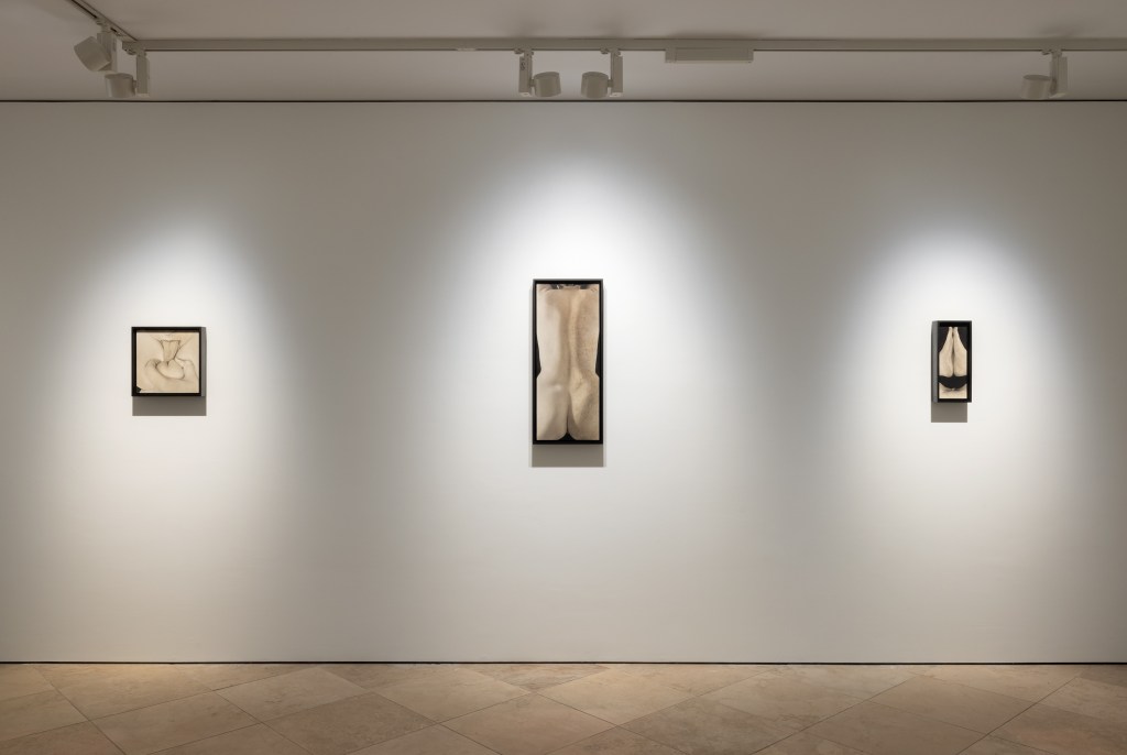 Exhibition view of Skin on Skin by Saskia Colwell at Victoria Miro, Venice 2025. Photo © Saskia Colwell. Courtesy of the artist and Victoria Miro