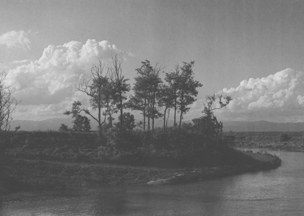 Digitally scanned inkjet print from Eleonora Busato’s series Looking for God, 2024, evoking spiritual themes through abstract photographic textures