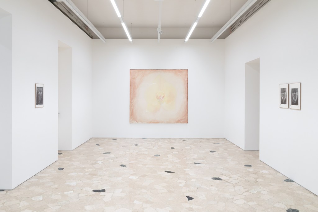 Installation view of Rendezvous at Fondazione Sandra e Giancarlo Bonollo, Thiene, 2025. In the foreground, Rendezvous 30 (2025) by Nino Kapanadze. Photo by Giovanni Canova. Courtesy of Fondazione Sandra e Giancarlo Bonollo