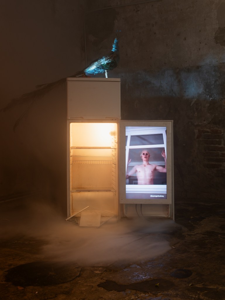 Exhibition view of PEEKABOO by Spencer Lackey at Spazio Punch, Venice, 2025. Courtesy of Giacomo Bianco