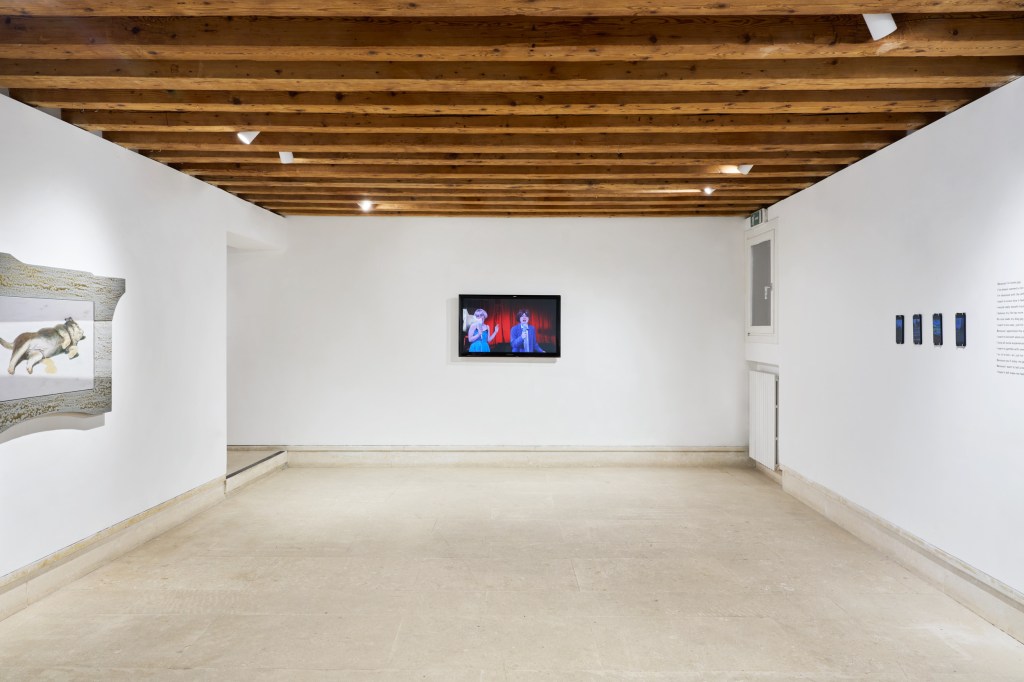 Exhibition view of Slow Manifesto, 2025, at the School for Curatorial Studies Venice, A plus A Gallery. Photo by Clelia Cadamuro.