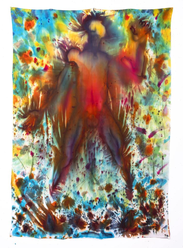 Fire Island Fool (2024), a hand-dyed cotton fabric work by Kyle Meyer in bold, layered tones.