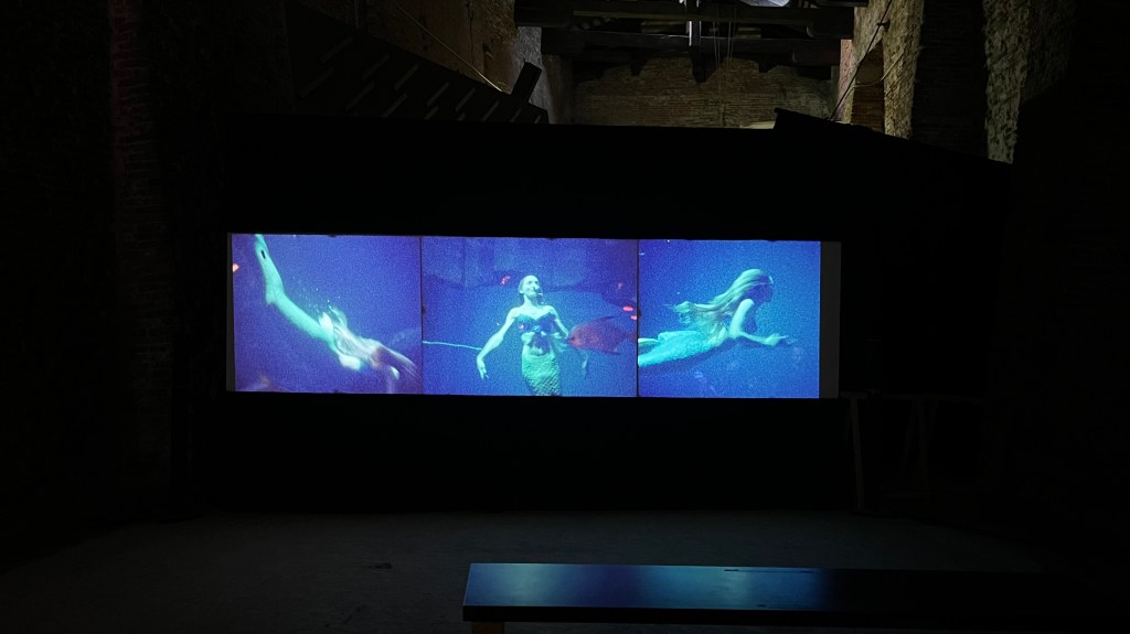 Installation view of The Sirens (2022–2025) by Tzuan Wu, showing immersive visual and spatial elements arranged across the S.a.L.E. Docks gallery. Photo by Rebecca Canavesi