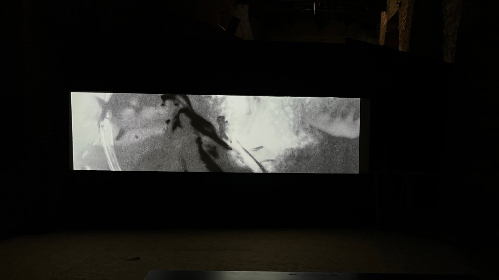 Installation view of The Sirens (2022–2025) by Tzuan Wu, showing immersive visual and spatial elements arranged across the S.a.L.E. Docks gallery. Photo by Rebecca Canavesi