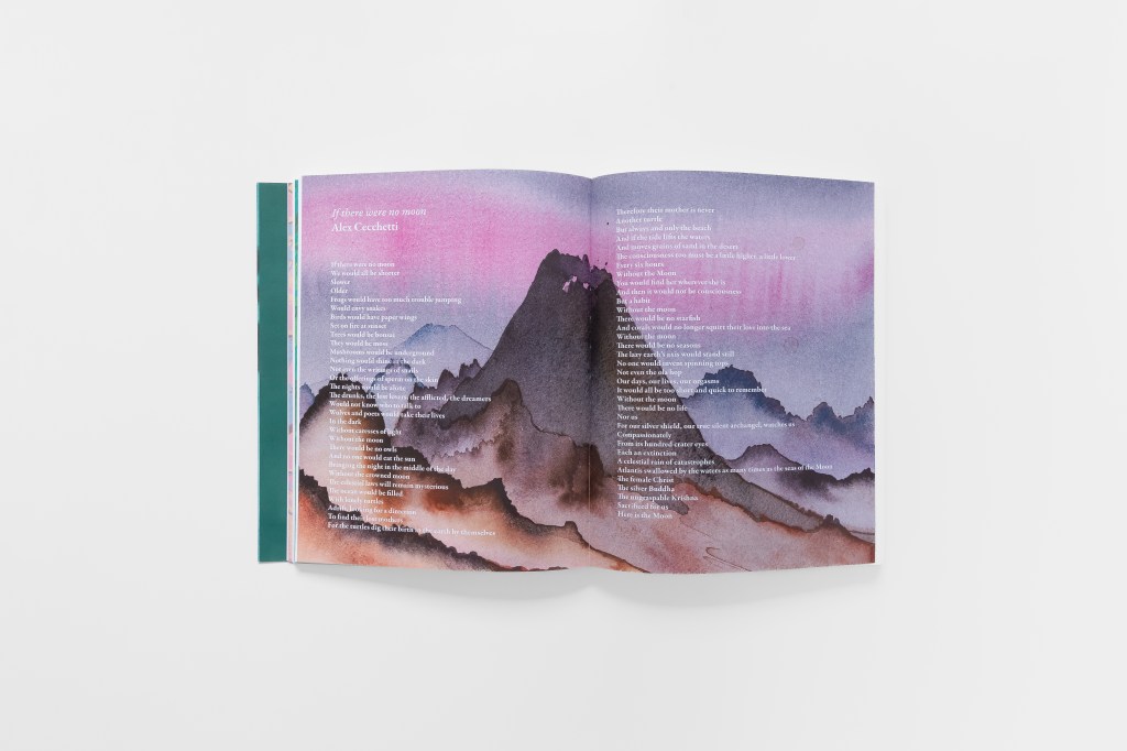 Cover of the book The Shape of a Circle in the Mind of a Fish, edited by Lucia Pietroiusti and Filipa Ramos, featuring a conceptual graphic design associated with ecological and philosophical inquiry.