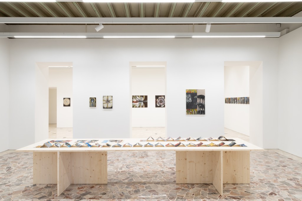 Installation view of Melamptha by Annette Barcelo at Fondazione Bonollo, Thiene, 2026. Photo by Giovanni Canov