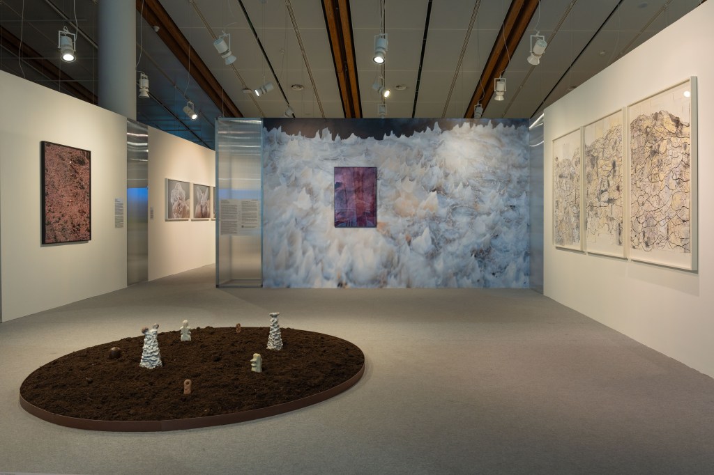 Exhibition view of The Mountain Touch. A Voyage in Healing Nature at MUSE – Museo delle Scienze in Trento.
