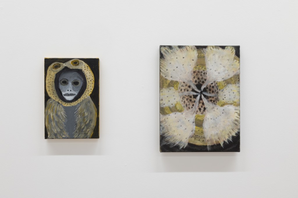 Installation view of Melamptha by Annette Barcelo at Fondazione Bonollo, Thiene, 2026. Photo by Giovanni Canov