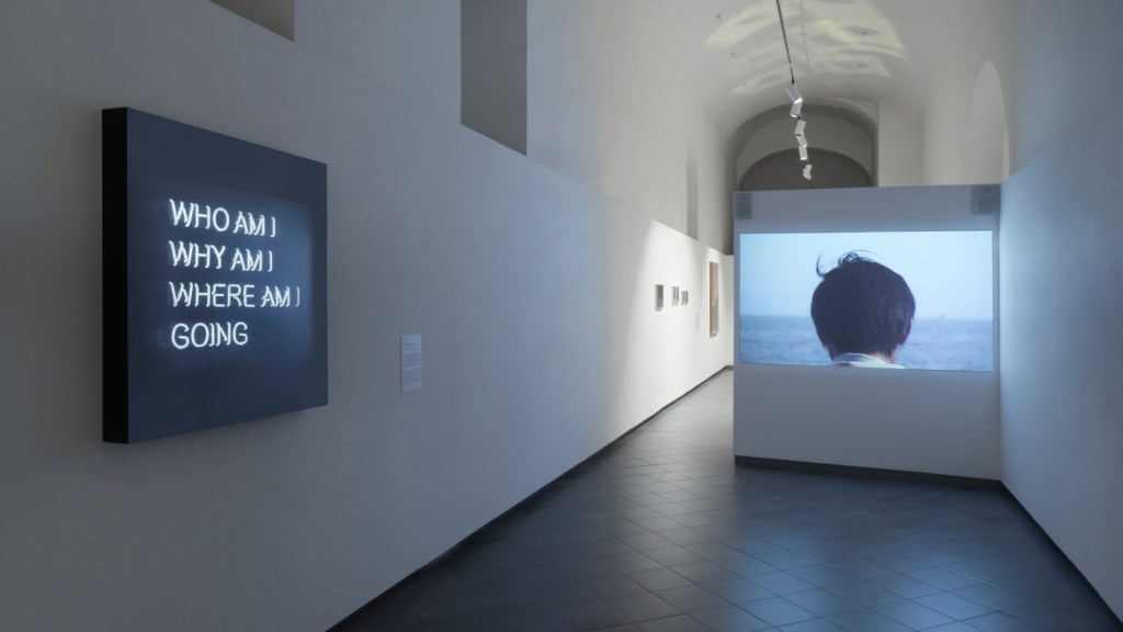 Installation view of the exhibition Post Water at Museomontagna.