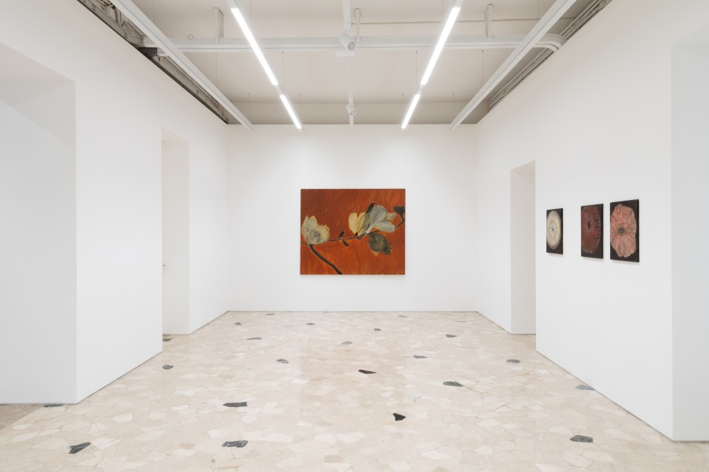 Installation view of Melamptha by Annette Barcelo at Fondazione Bonollo, Thiene, 2026. Photo by Giovanni Canov