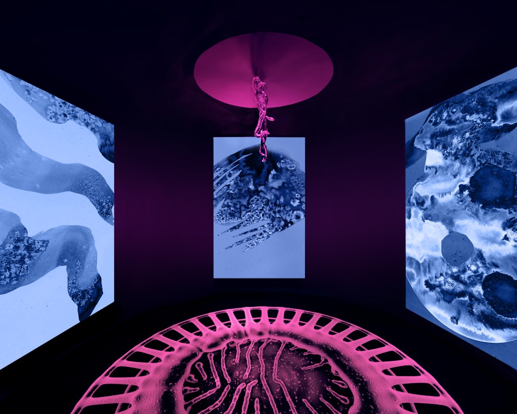 Installation view of Emilija Škarnulytė’s Ofiolite presented in The New Orchestra exhibition.