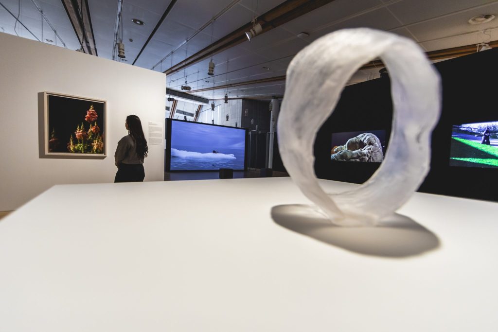 Display from the Anthropocene Collection; image courtesy of MUSE Archive; photograph by Michele Purin.