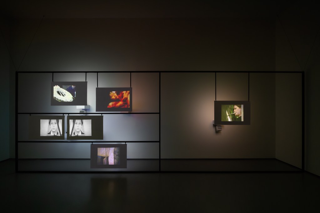 Installation view of Amar Kanwar’s The Torn First Pages (2004–2008), from the artist’s collection, presented in Amar Kanwar: Co-travellers (2026); photograph by Marco Cappelletti Studio; courtesy of Palazzo Grassi, Pinault Collection