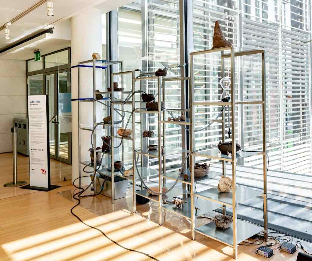 Mary Mattingly’s Lacrima (2023); image courtesy of MUSE Archive