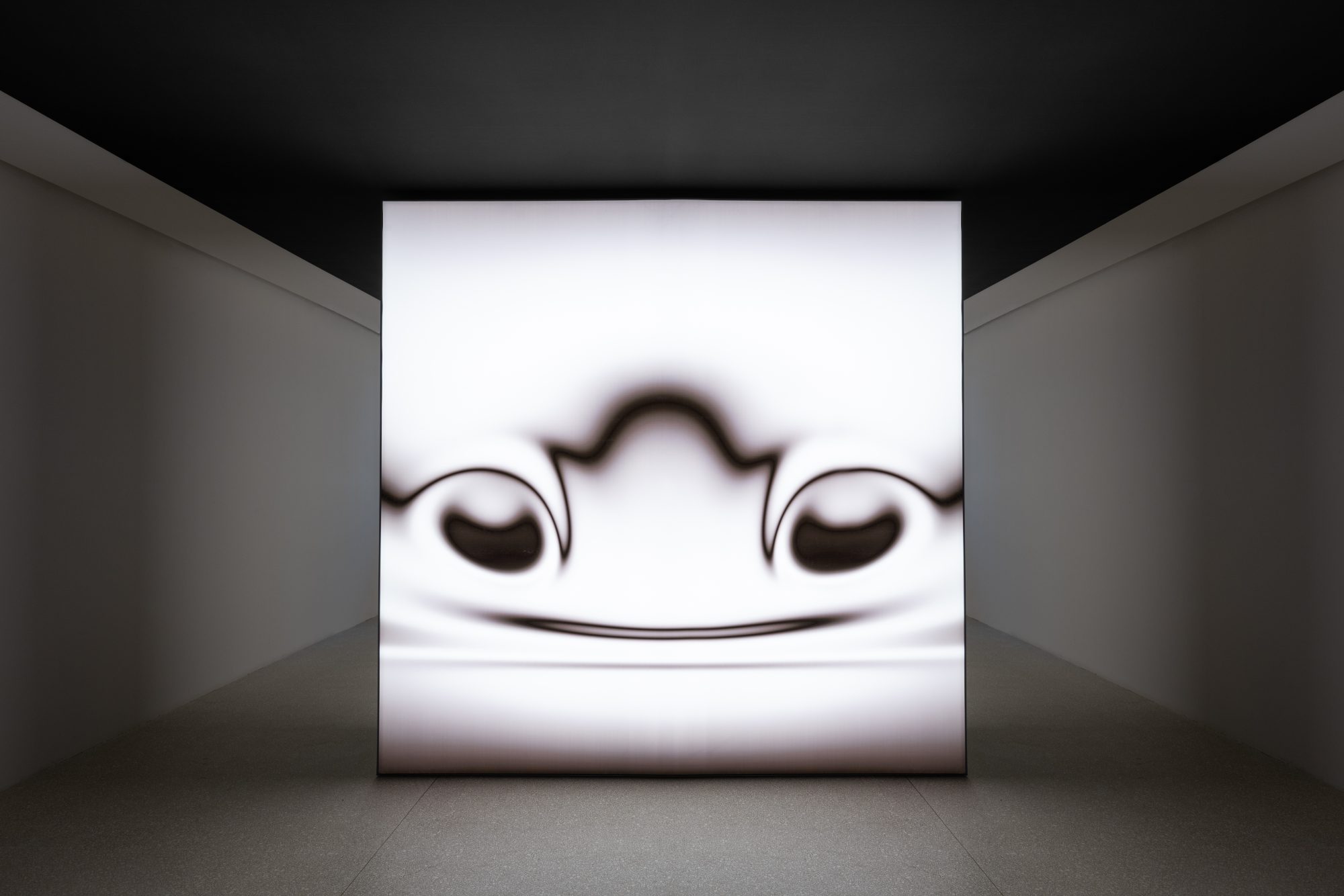 Installation view of Strange Rules at Palazzo Diedo Berggruen Arts & Culture, featuring Ken Stanley’s Picbreeder (2008–2020); photograph by Stefano Matteo.