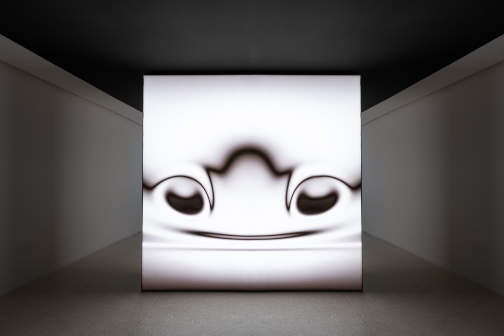 Installation view of Strange Rules at Palazzo Diedo Berggruen Arts & Culture, featuring Ken Stanley’s Picbreeder (2008–2020); photograph by Stefano Matteo.