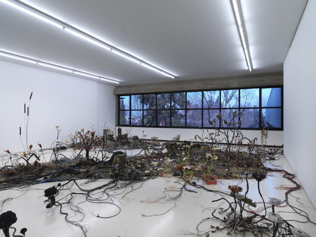 Exhibition gallery displaying artworks by Krištof Kintera.