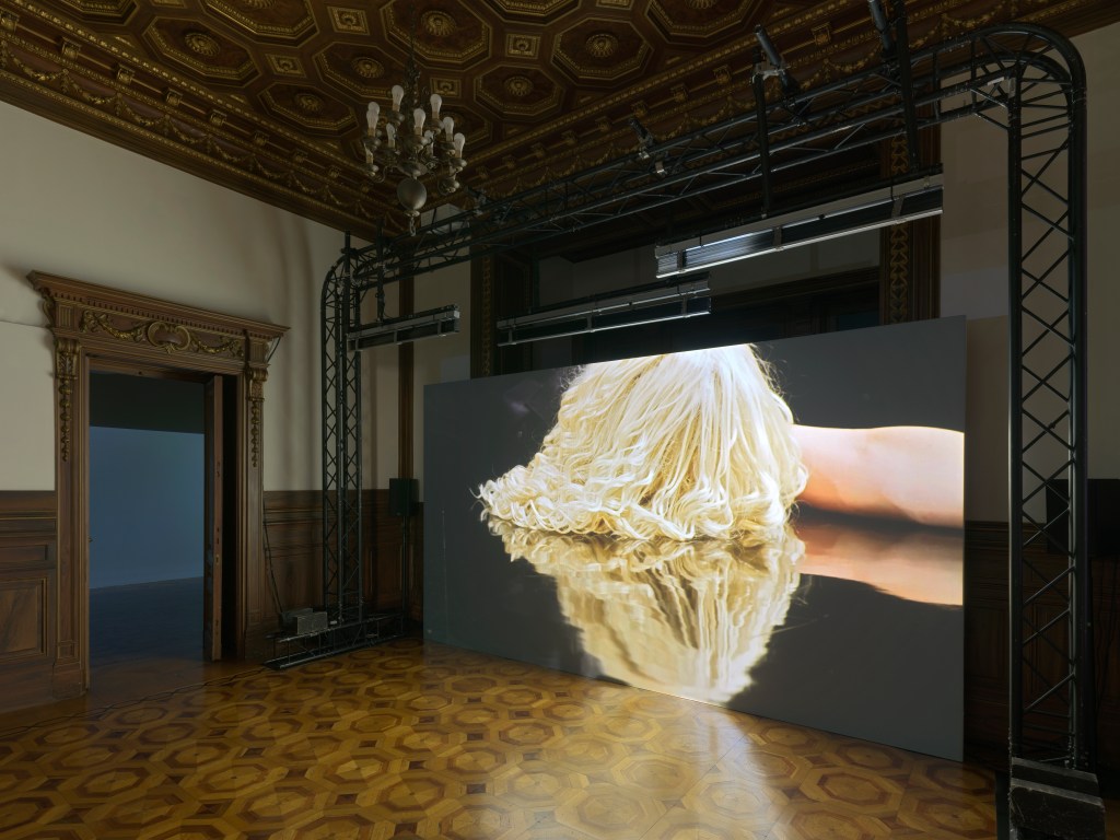 Veduta dell'installazione della mostra "how we always survived" di Pauline Boudry e Renate Lorenz all'Istituto Svizzero di Roma, 2025.