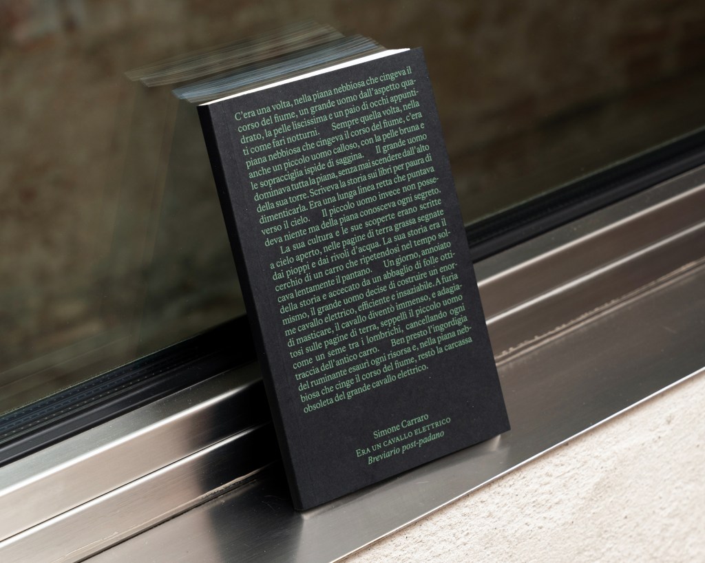 Copertina del volume “Era un cavallo elettrico” di Simone Carraro, pubblicato da bruno, Venezia, 2025. Fotografia di Giacomo Bianco.