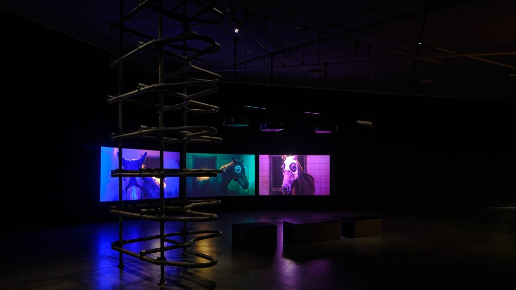 Another view of Janis Rafa's installation Feed Me Cheat Me Eat Me at Eye Filmmuseum, Amsterdam (2023).