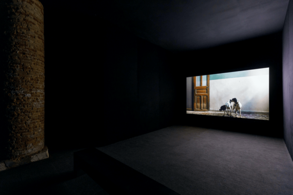 Installation view of Janis Rafa's Lacerate (2020) at the 59th International Art Exhibition – La Biennale di Venezia (2022)