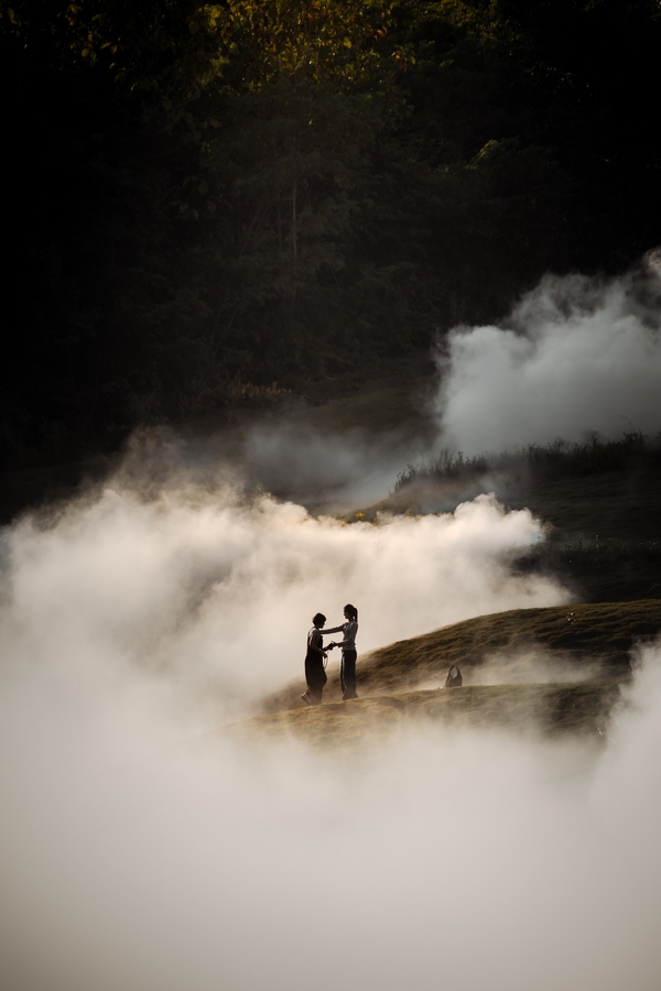 Dense fog moves through a wooded landscape, with tree trunks and foliage emerging through the mist.