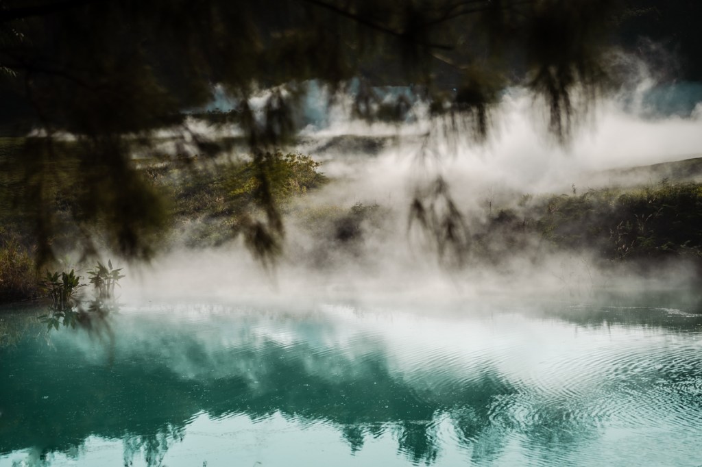 Dense fog moves through a wooded landscape, with tree trunks and foliage emerging through the mist.