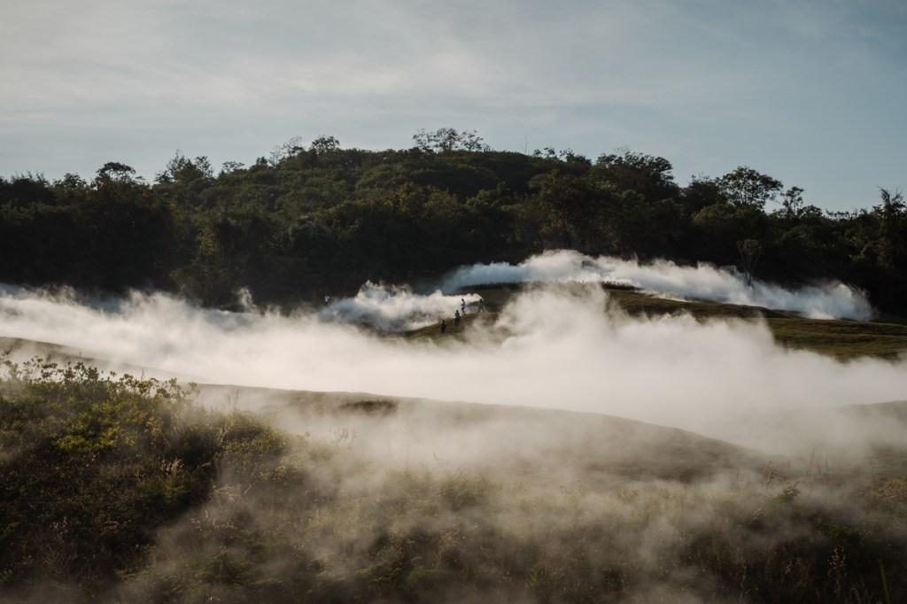 Dense fog moves through a wooded landscape, with tree trunks and foliage emerging through the mist.