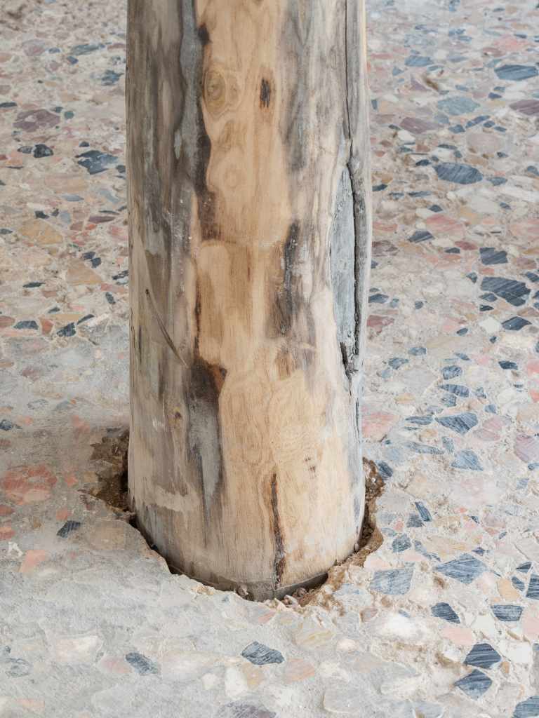 (45.3820696, 12.3294242): A close-up view of the artwork featuring geographic coordinates presented as a minimalist installation, emphasizing location through text and spatial placement.