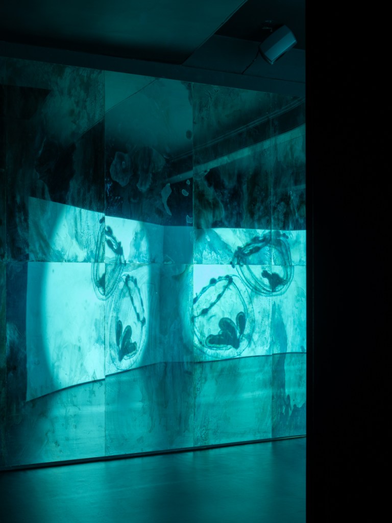 Massimo D’Anolfi and Martina Parenti, 24 Landscapes + A Vision (2026). Film installation by Massimo D’Anolfi and Martina Parenti presented in the exhibition Canicula at Fondazione In Between Art Film, Complesso dell’Ospedaletto, Venice, 2026