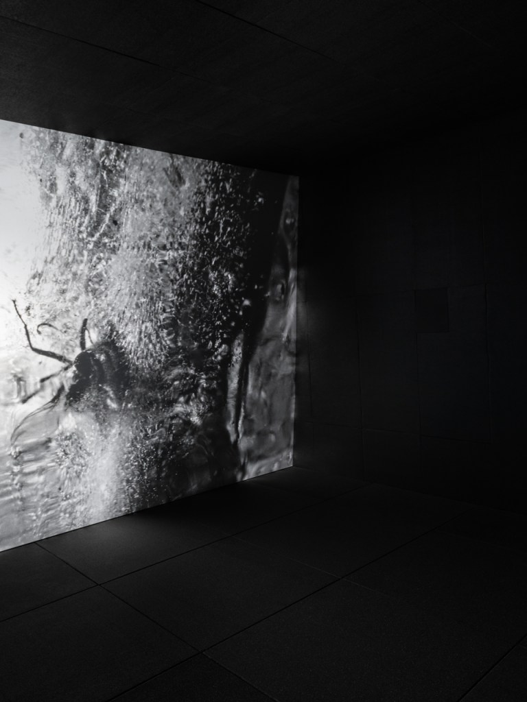 Maya Watanabe, Jarkov (2026). Film installation by Maya Watanabe presented in the exhibition Canicula at Fondazione In Between Art Film, Complesso dell’Ospedaletto, Venice, 2026