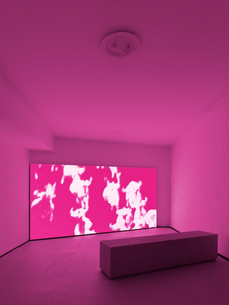 P. Staff, Terminal Lucidity (2026). Film installation by P. Staff presented in the exhibition Canicula at Fondazione In Between Art Film, Complesso dell’Ospedaletto, Venice, 2026