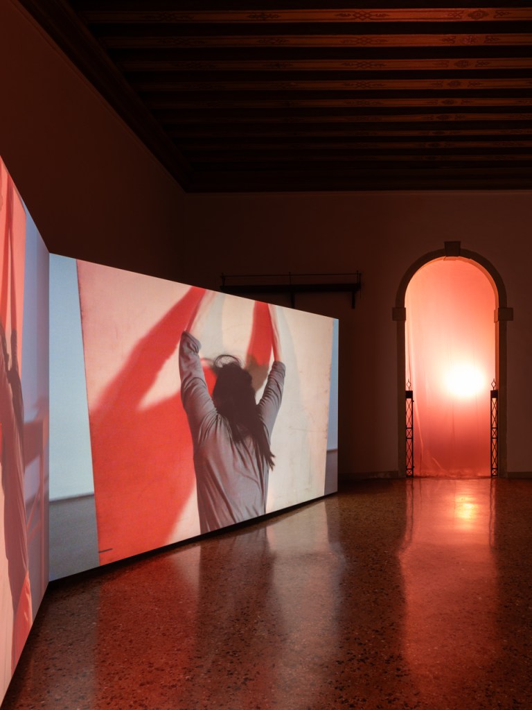 Wang Tuo, The Experimental Paradigm of Ownership and Autonomy (2026). Film installation by Wang Tuo presented in the exhibition Canicula at Fondazione In Between Art Film, Complesso dell’Ospedaletto, Venice, 2026