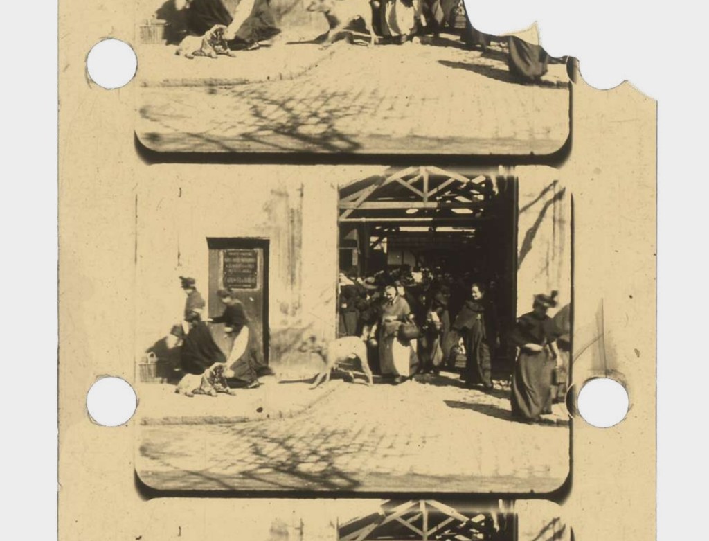 Nitrate positive film fragment from Louis Lumière's Lumière film n°91,2 – Sortie d'usine, II (1895), preserved at Institut Lumière.
