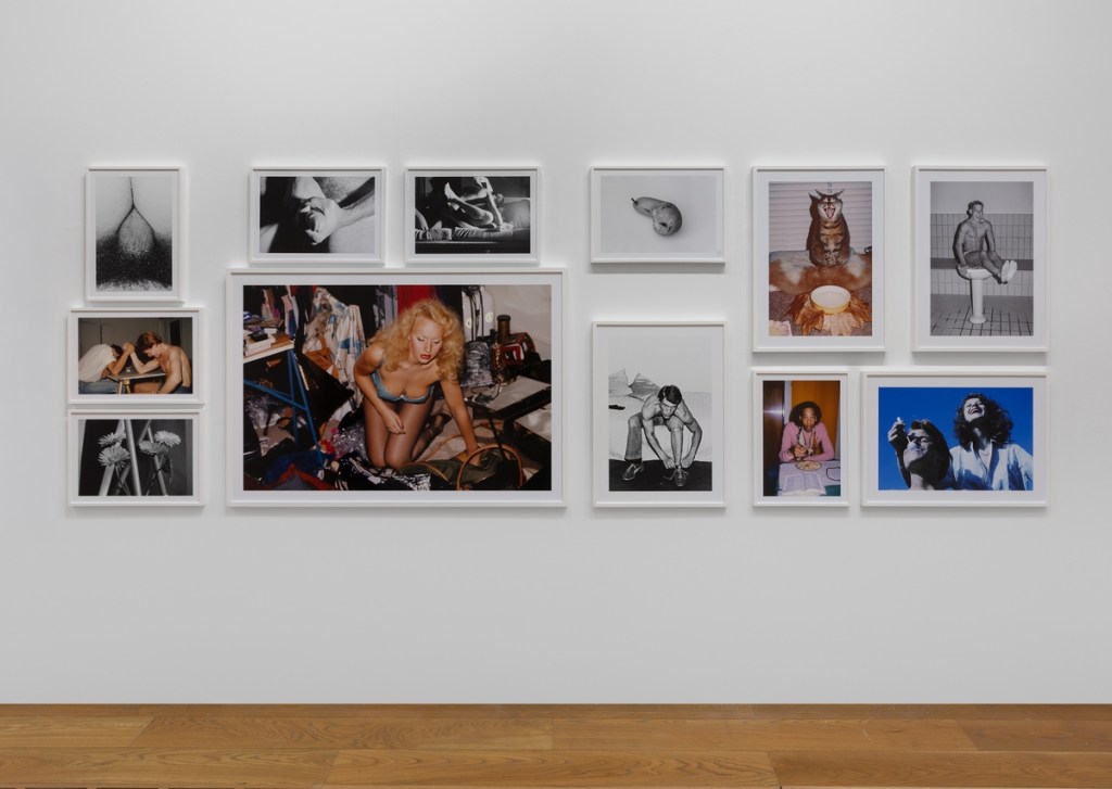 Installation view of Walter Pfeiffer: In Good Company at Pinacoteca Agnelli, Turin, 2026. Photo by Sebastiano Pellion di Persano.