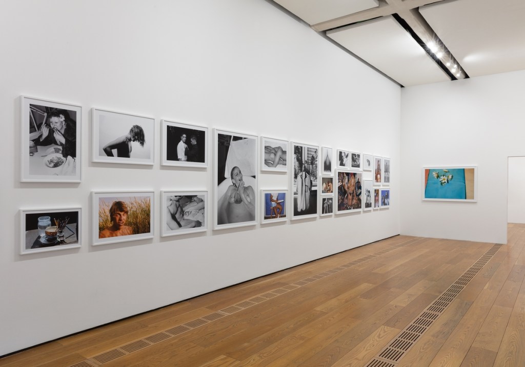 Installation view of Walter Pfeiffer: In Good Company at Pinacoteca Agnelli, Turin, 2026. Photo by Sebastiano Pellion di Persano.