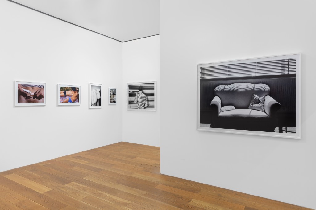 Installation view of Walter Pfeiffer: In Good Company at Pinacoteca Agnelli, Turin, 2026. Photo by Sebastiano Pellion di Persano.