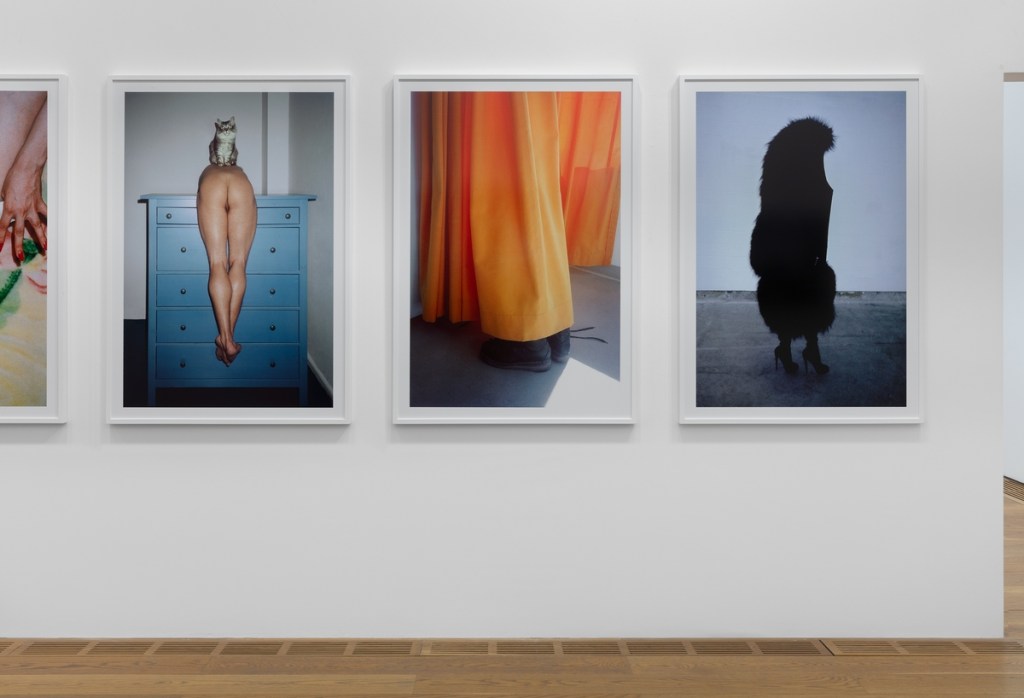 Installation view of Walter Pfeiffer: In Good Company at Pinacoteca Agnelli, Turin, 2026. Photo by Sebastiano Pellion di Persano.