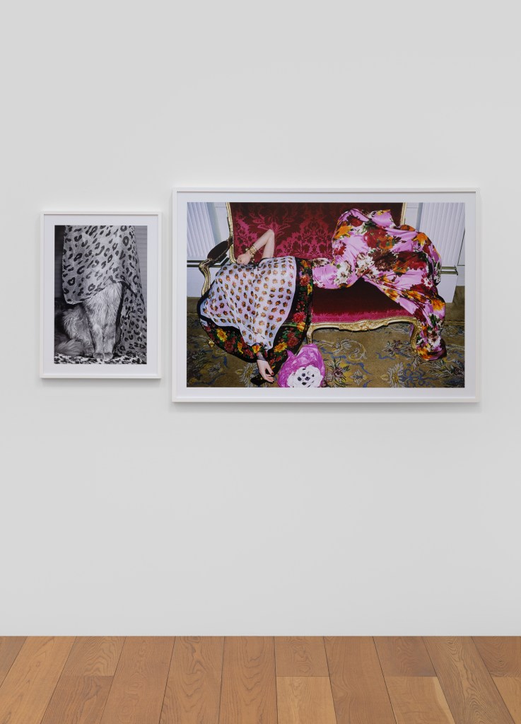 Installation view of Walter Pfeiffer: In Good Company at Pinacoteca Agnelli, Turin, 2026. Photo by Sebastiano Pellion di Persano.