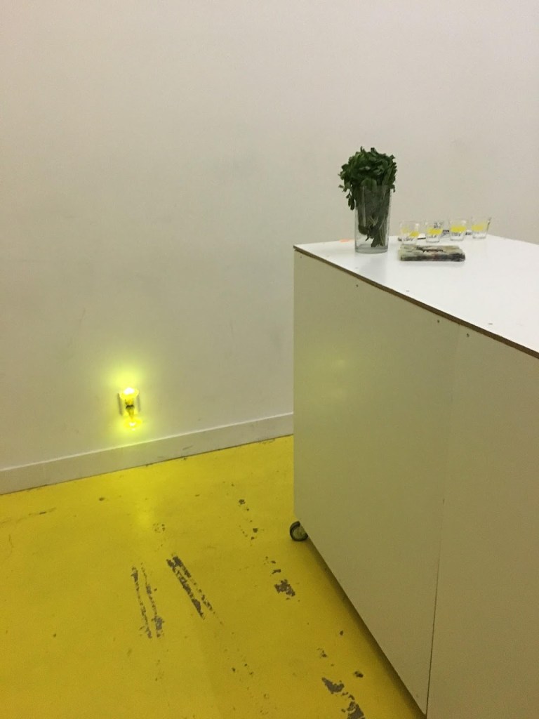Ghislaine Leung, 29042017, HTSU (How To Show Up?), Amsterdam, 2017. Installation view of the work. Courtesy HTSU, Amsterdam