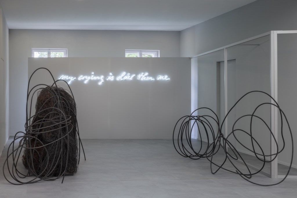 Exhibition view of Matter of Care, Care of Matter at Hamburger Bahnhof, featuring a work by Enne Haehnle