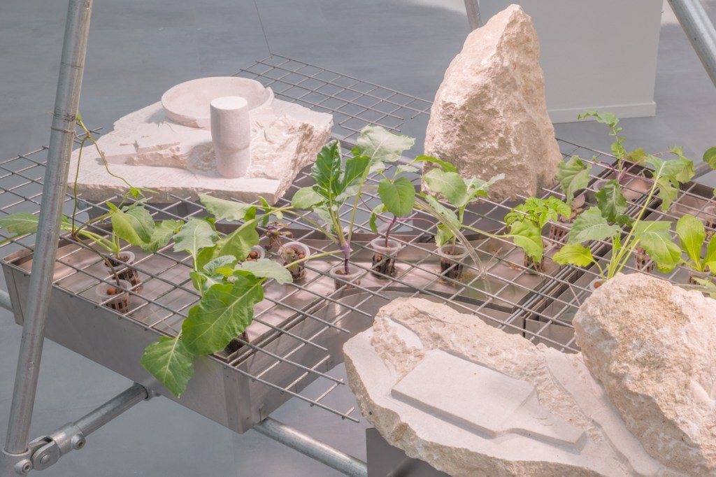 Exhibition view of Matter of Care, Care of Matter at Hamburger Bahnhof, featuring a work by Lucy König