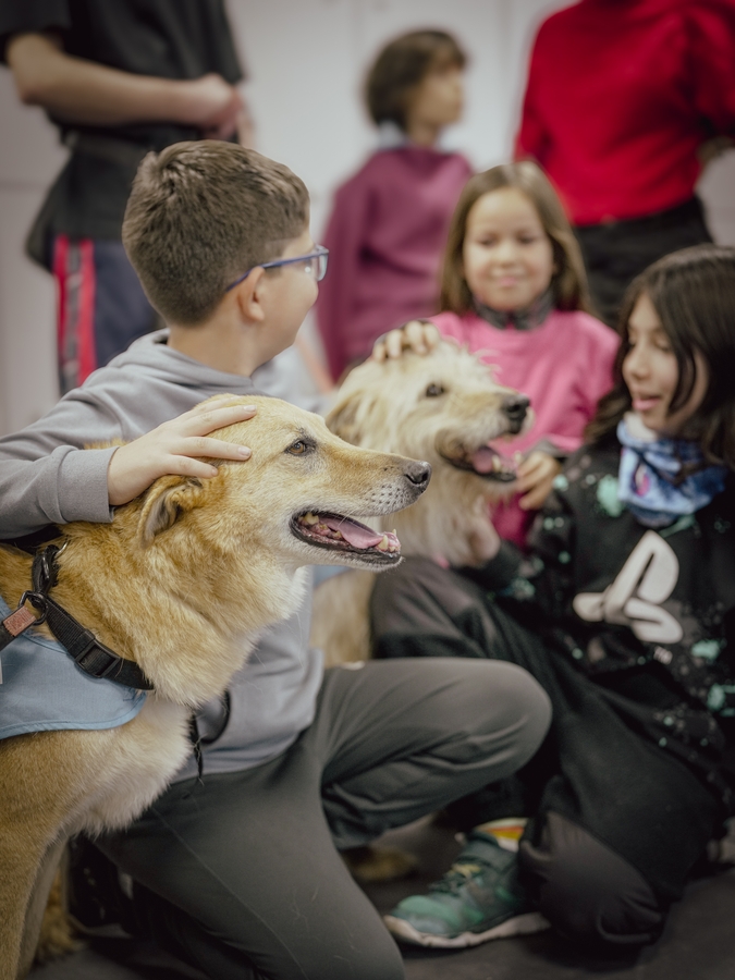 Festival ACENTO, self-care training for dogs for adoption. Photo by This Project Works.